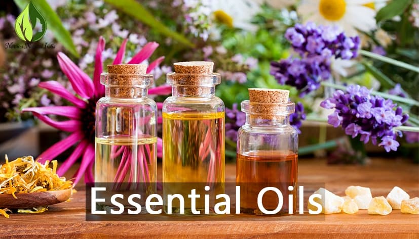 How to use Essential Oils for Personal Care? Need to know