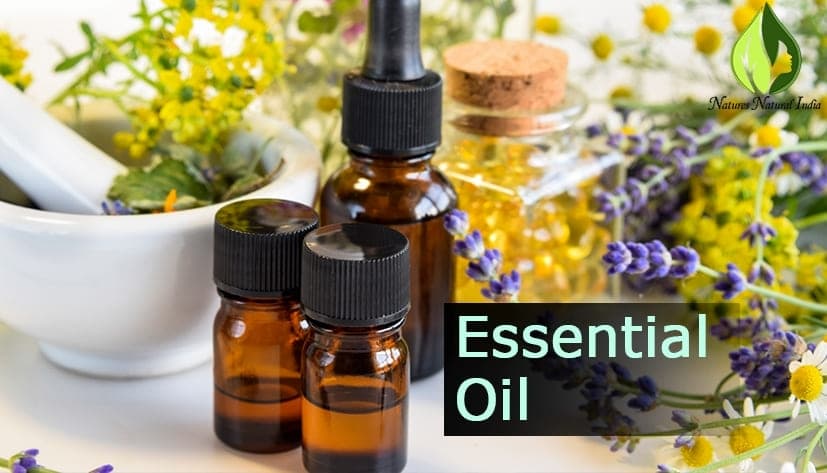 Advance Your Cosmic and Spiritual Journey with Queer Essential Oils!
