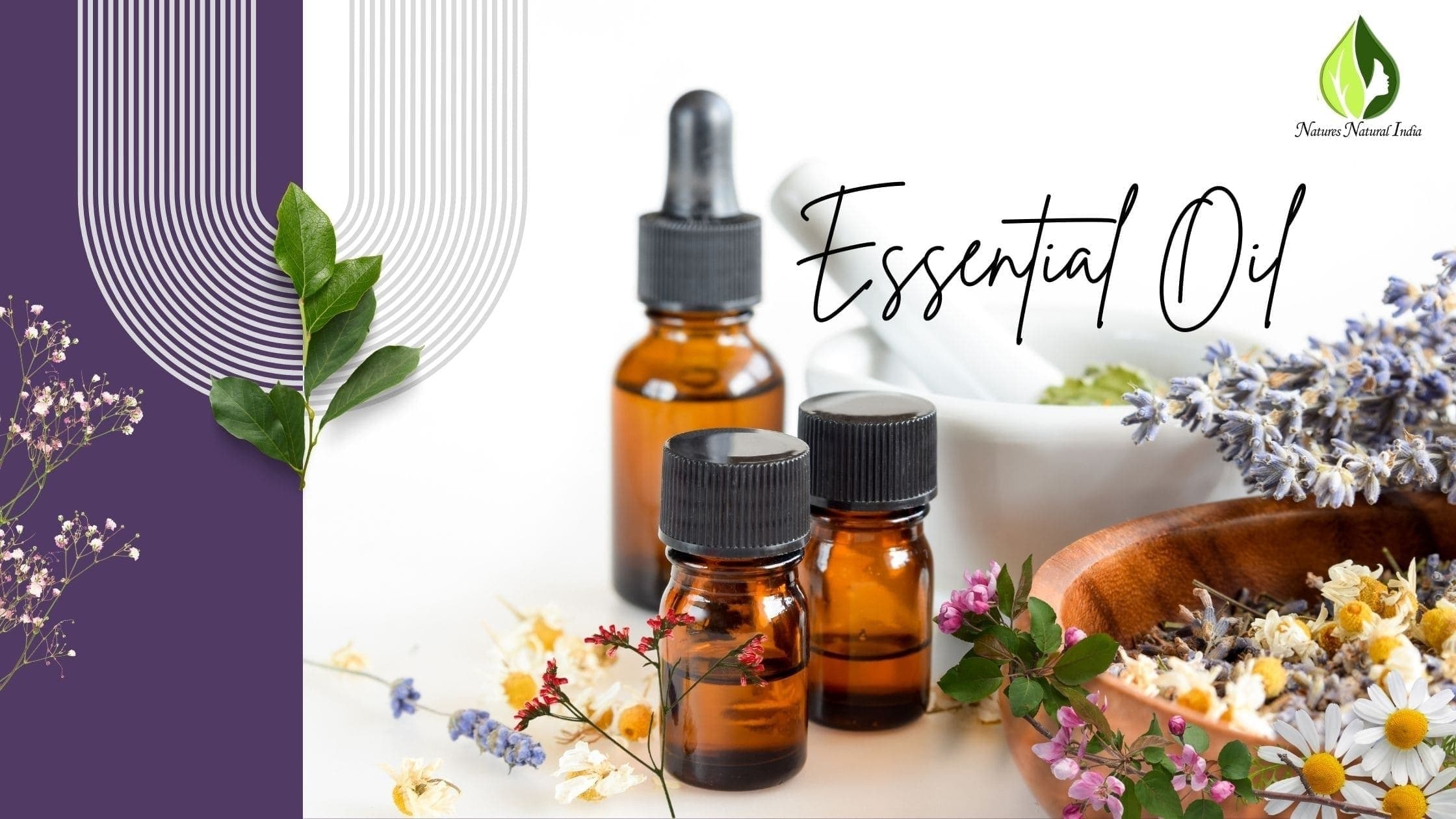 Top 5 Brands of Essential Oils Manufacturer and Supplier in India