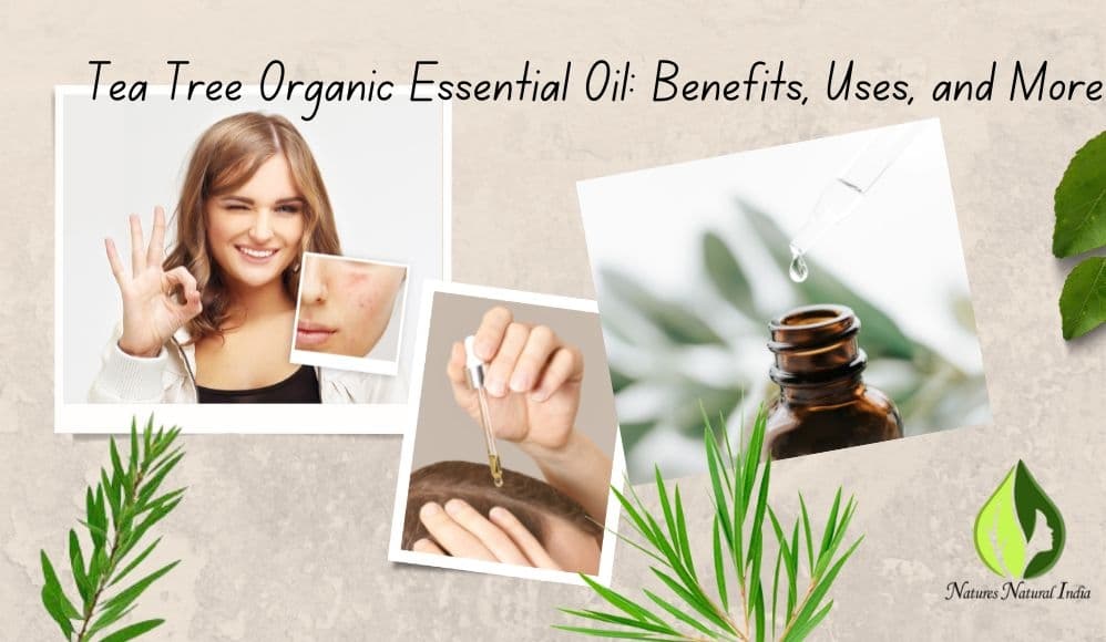 Organic Tea Tree Oil: Benefits, Uses, and More