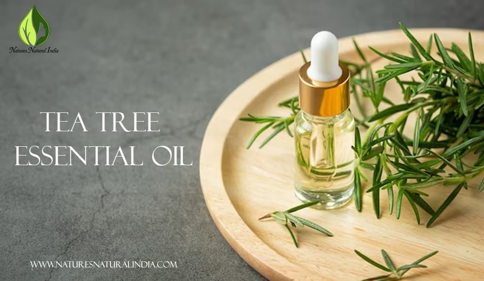 Tea Tree Essential Oil: An Organic Treasure for Health and Wellbeing!