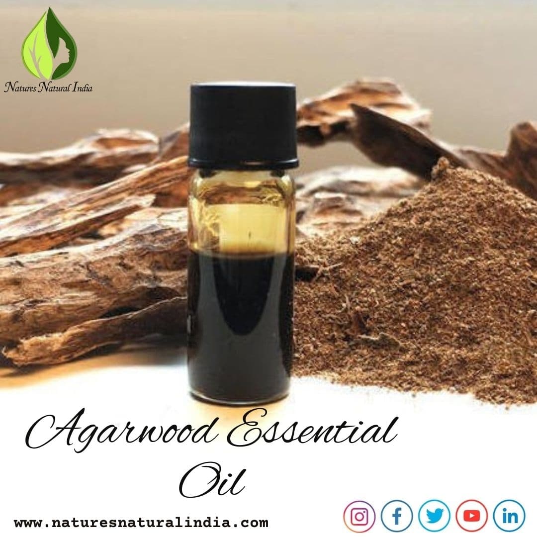 Exploring The Mysteries And Benefits From Agarwood Essential Oil