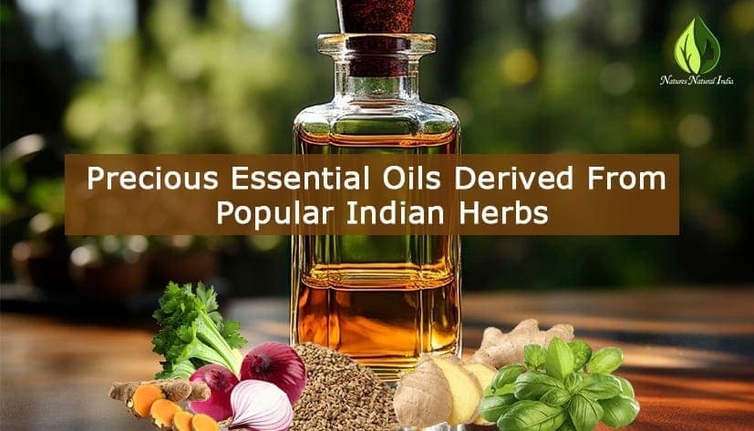 11 Precious Essential Oils Derived From Popular Traditional Indian Herbs