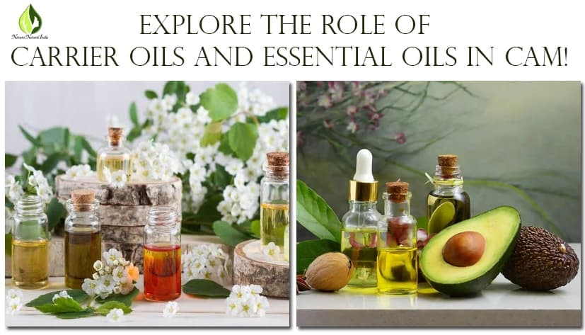 Explore the Role of Carrier Oils and Essential Oils in CAM!