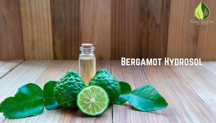 The Role of Bergamot Hydrosol in Natural Beauty Products