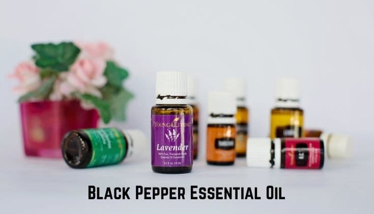Boost Your Energy Levels with Black Pepper Essential Oil