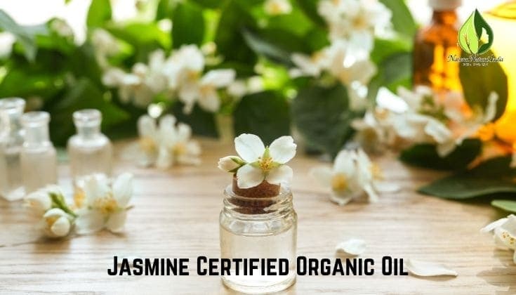 Enhance Your Beauty Regime with Jasmine Certified Organic Oil