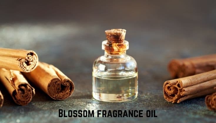 Exploring the Best Blossom Fragrance Oil Brands in the United States