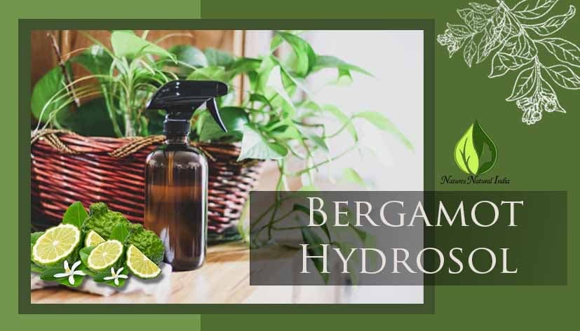 How Bergamot Hydrosol Can Help Reduce Stress and Anxiety