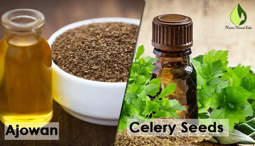 Ajwain Essential Oil: The Natural Remedy for Stress Relief