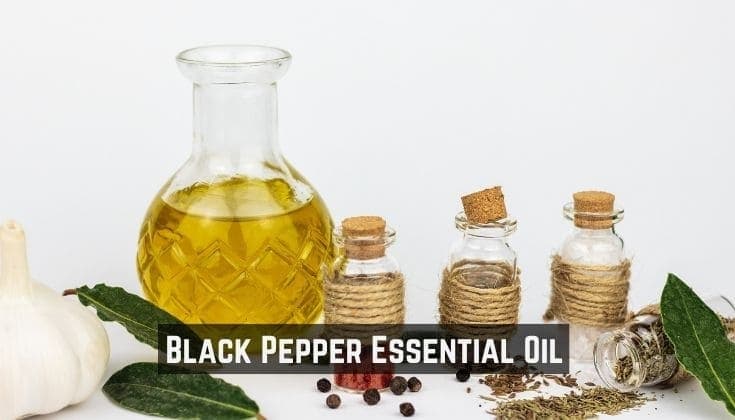 Exploring the Aromatic World of Black Pepper Essential Oil