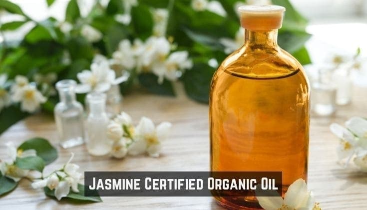 Exploring the Aromatic Benefits of Jasmine Certified Organic Oil