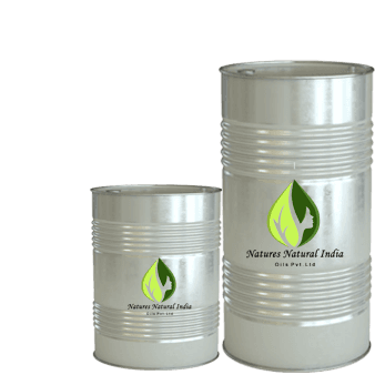 Chamomile German Essential Oil Nepal