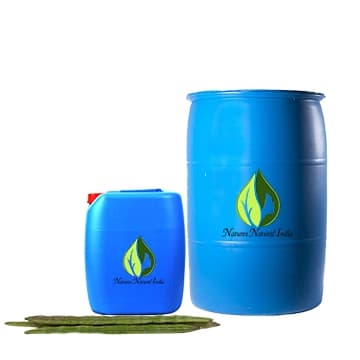 Moringa (or Ben) Oil