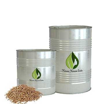 Aniseed Essential Oil (Anise)