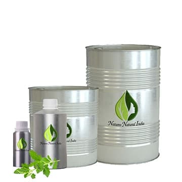 Holy Basil Essential Oil (Tulsi)