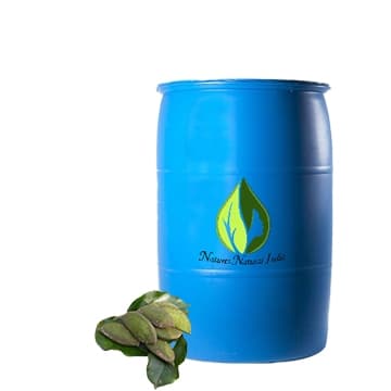 Pongamia Pinnata Certified organic Oil