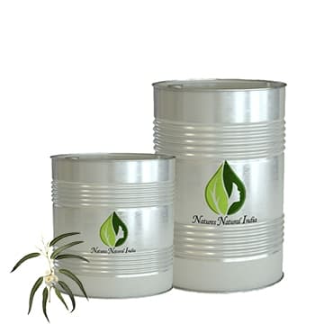 Eucalyptus Certified Organic Oil