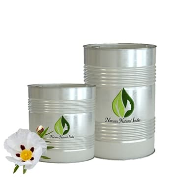 Labdanum certified organic Essential oil