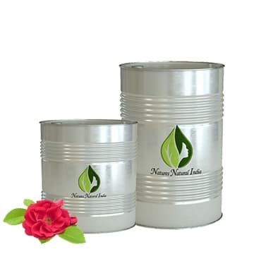 Rose Damascena Floral Absolute Oil