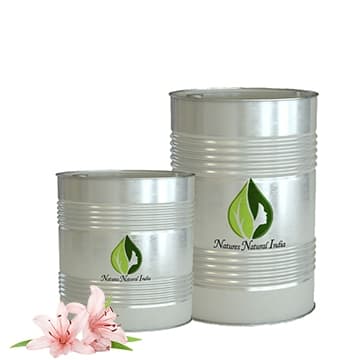 Lily Attar
