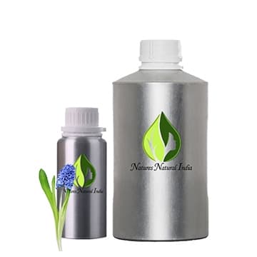 Hyacinth Floral Absolute oil