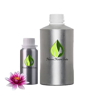 Lotus (Pink) Absolute Oil
