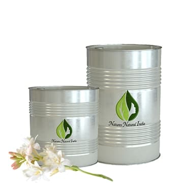 Tube Rose Absolute Oil