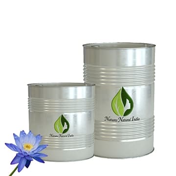 Blue Lotus Absolute Oil