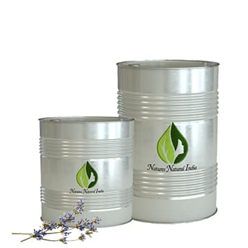Lavender Absolute Oil