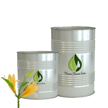 Champaca Absolute 3% Dilution in Jojoba Oil