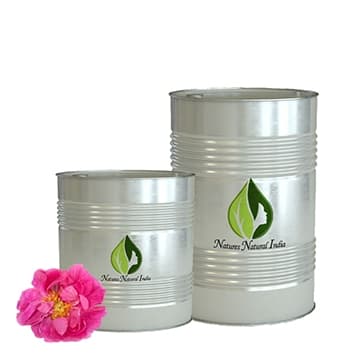 Rose Otto Oil 3% Dilution in Jojoba Oil
