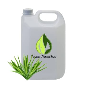 Kewra Floral Water