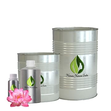 Lotus Pink Absolute 3% Dilution in Jojoba Oil