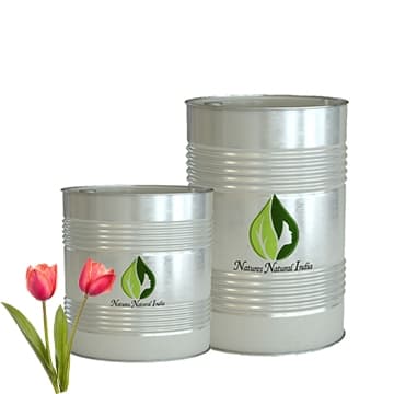Tulip Flower oil
