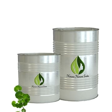 Geranium Leaf 3% Dillution in Jojoba Oil