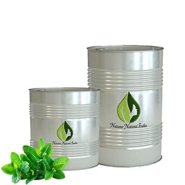 Melissa Leaf 3% Dilution in Jojoba Oil