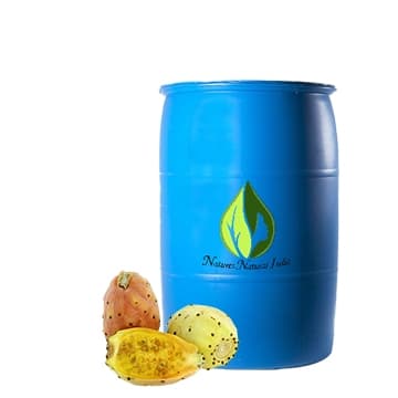 Prickly Pear Seed Carrier Oil