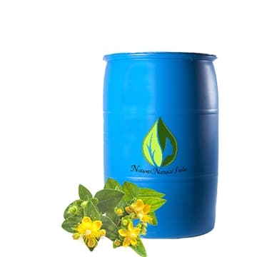 st john's wort carrier oil