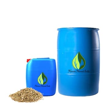 Carrot Seed Carrier Oil