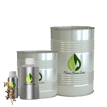 Eucalyptus Citriodora Oil