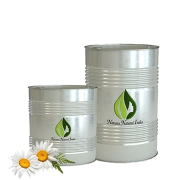 Chamomile Blue Essential Oil