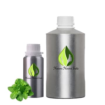 Mint Fragrance