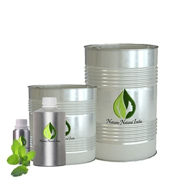 Steam Distillation Mentha Piperita Peppermint Oil