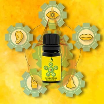 Sensation Blends
