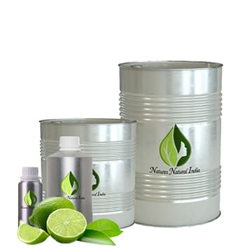 Lime Fresh Fragrances