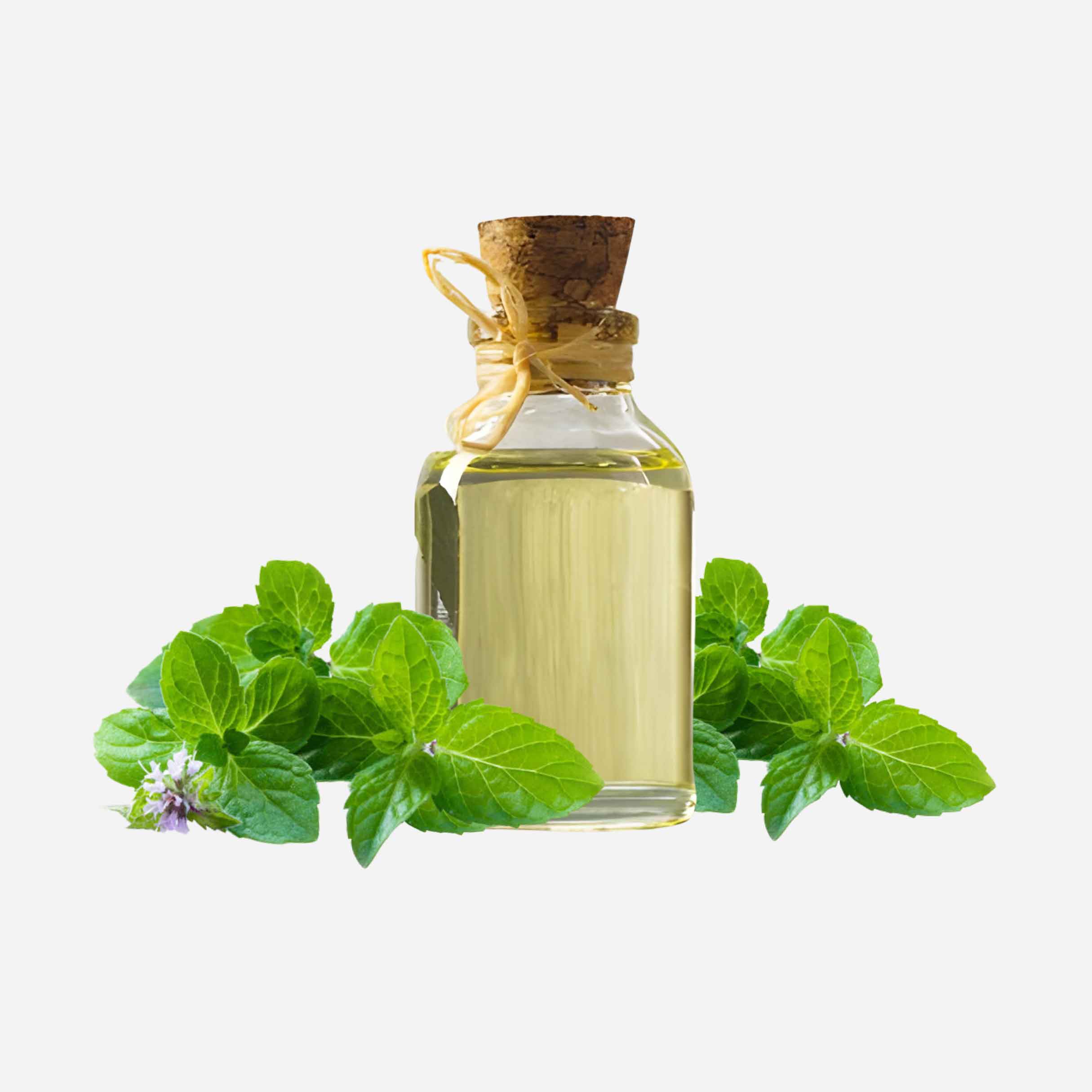 Peppermint Essential Oil