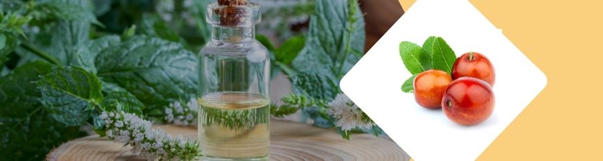 3% Exotic Oil Dilution