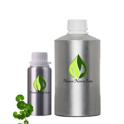 Geranium Leaf 3% Dillution in Jojoba Oil