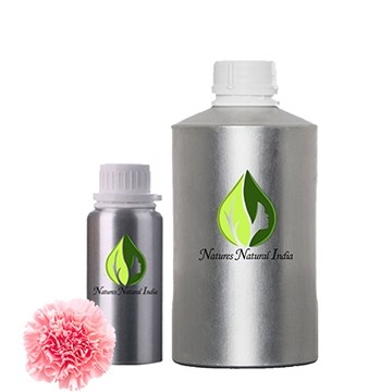 Carnation Absolute Oil